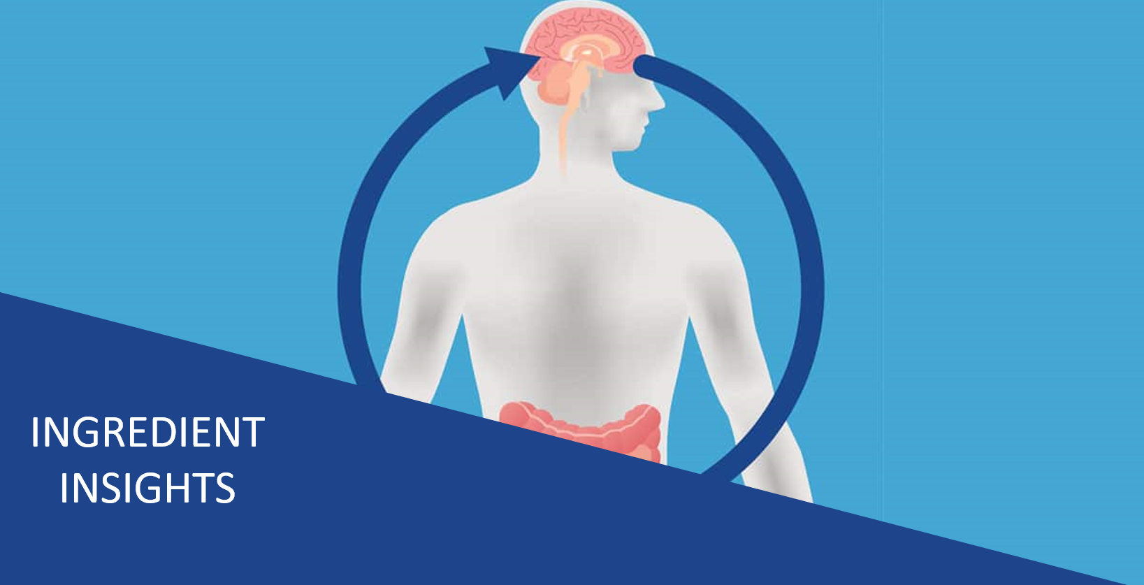 Connecting the Dots – Mapping the Gut-Brain Axis