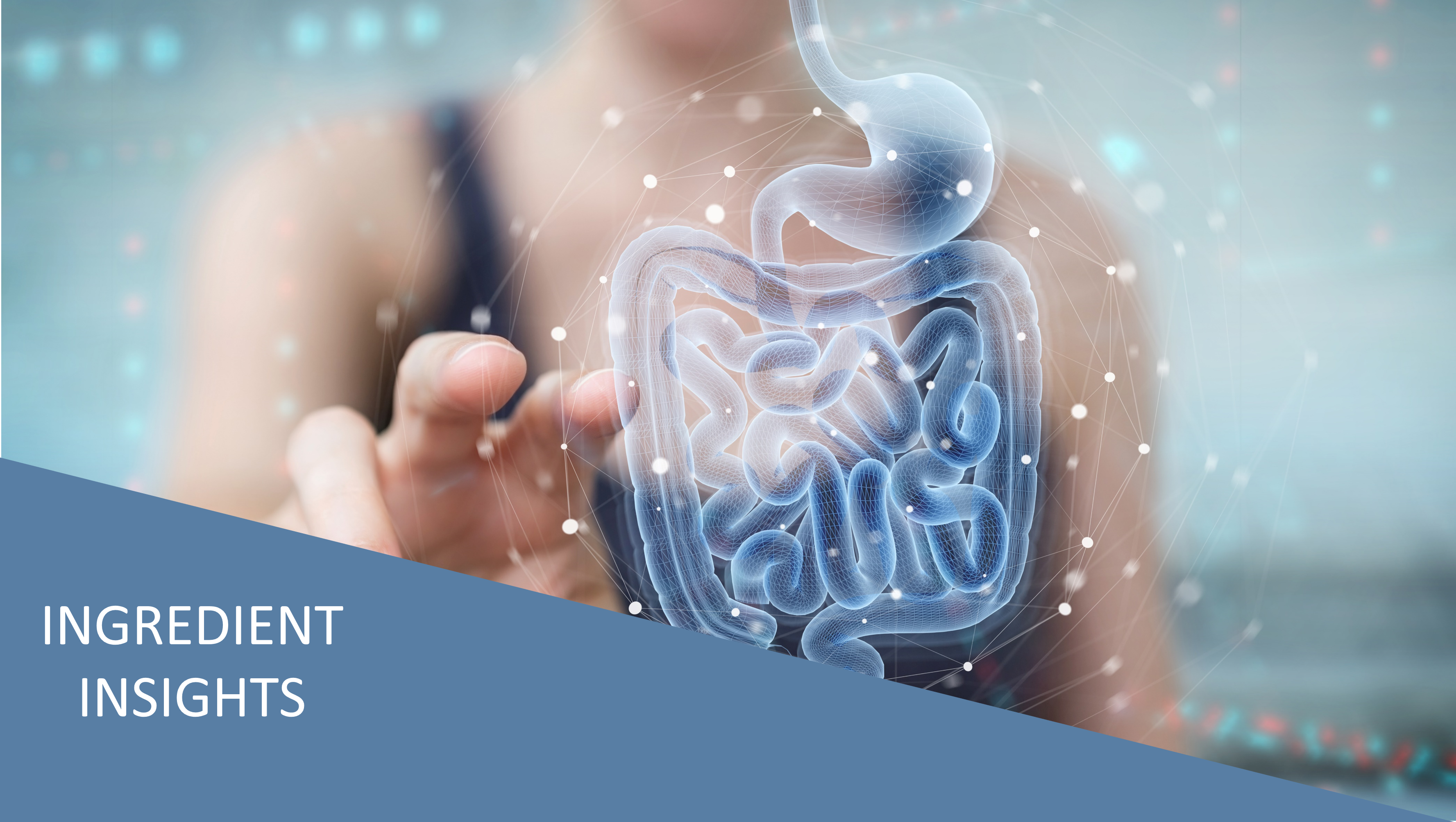 What’s Happening in the Gut?